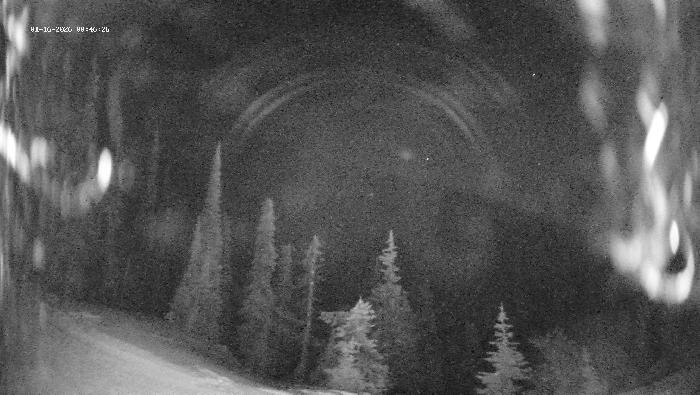 Revelstoke Mountain Resort - Ripper Webcam