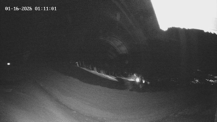 Revelstoke Mountain Resort -  Top of The Stoke Webcam